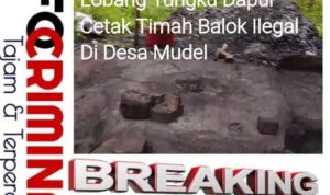 IMG-20251205-WA0010 Timah Balok